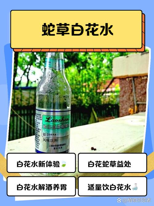 崂山白花蛇草水与痛风