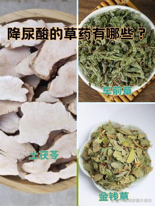 有什么中药能治疗痛风