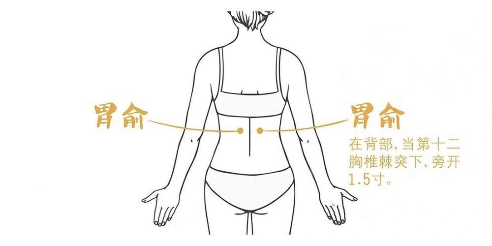 胃寒针灸哪个部位图示