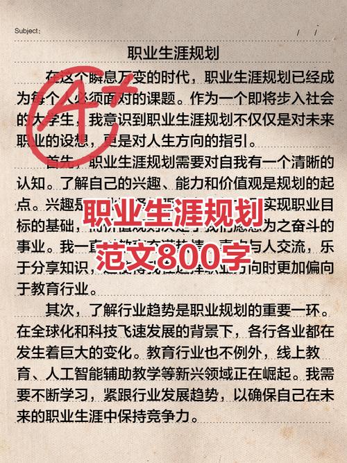 请浅谈未来职场的规划