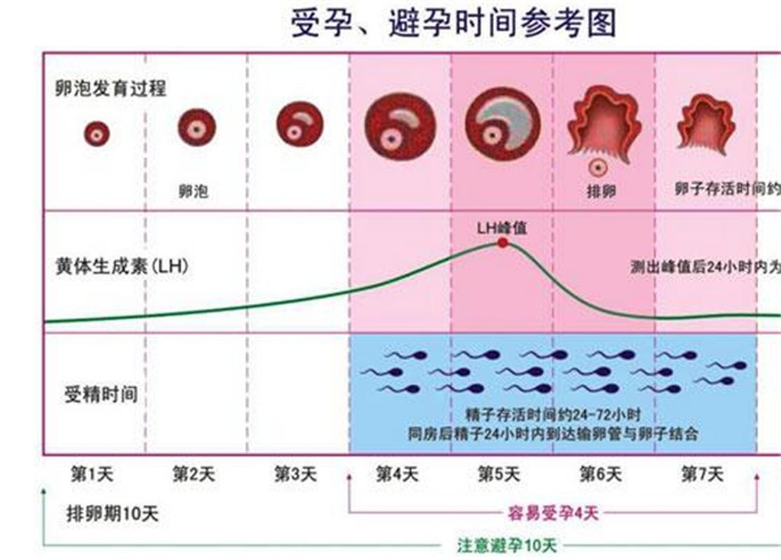 安全期体外射精怀孕的