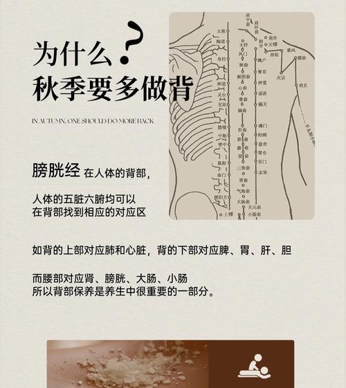 针灸背部的好处和坏处