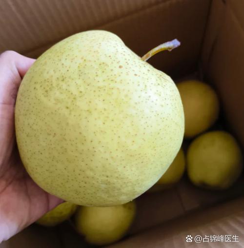 痛风病人可以吃的水果