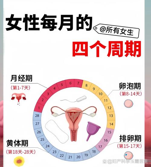 月经前几天是安全期的