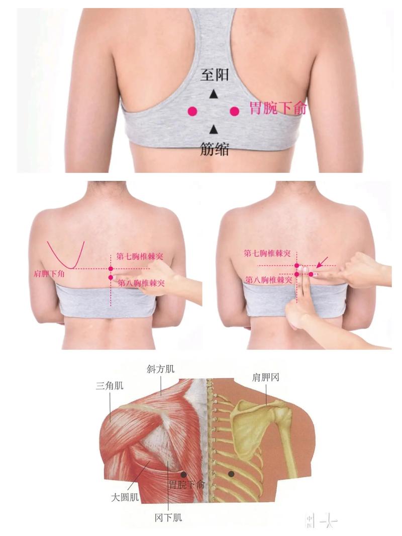 胃痛扎针灸扎哪个部位