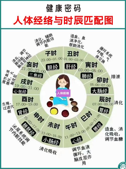 每天针灸的最佳时间是