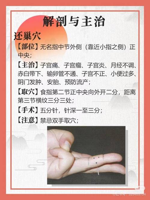 子宫出血不止针灸止血