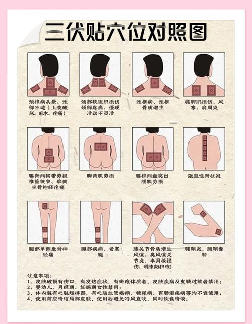 贴针灸丰胸多少盒见效