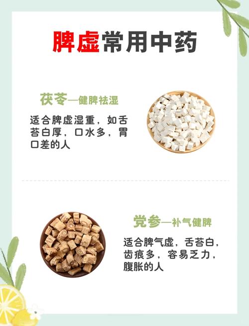 脾虚吃中药还是打针灸