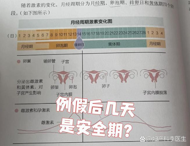 大姨妈来后几天安全期