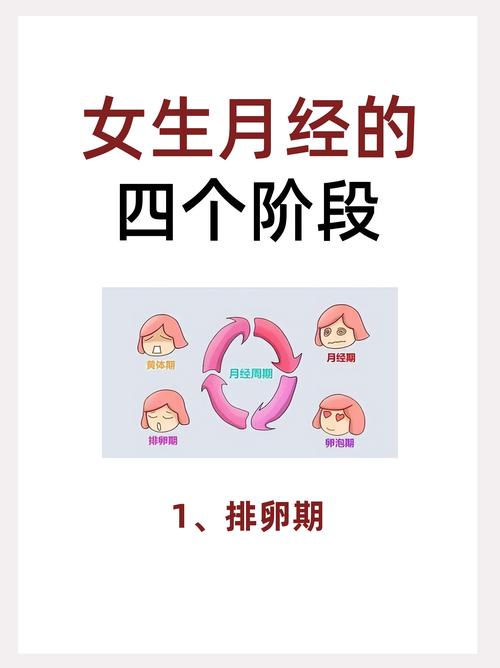 来例假前后几天安全期