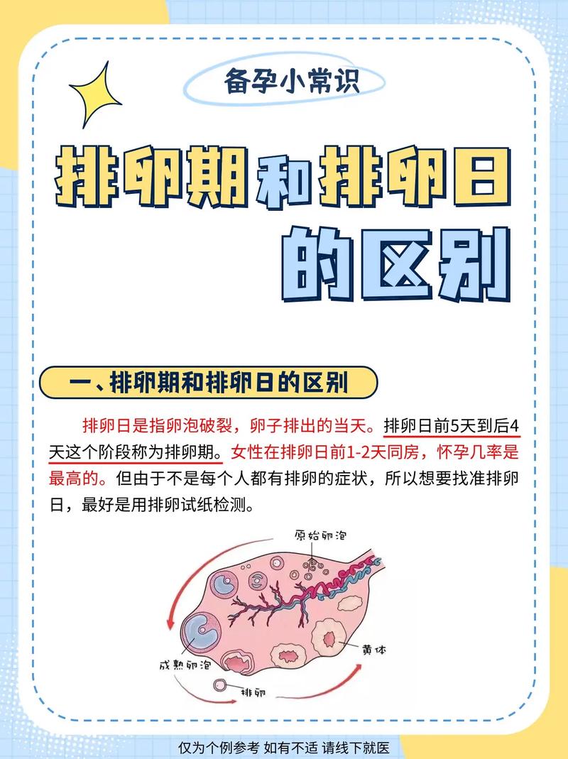 排卵日过后是安全期吗