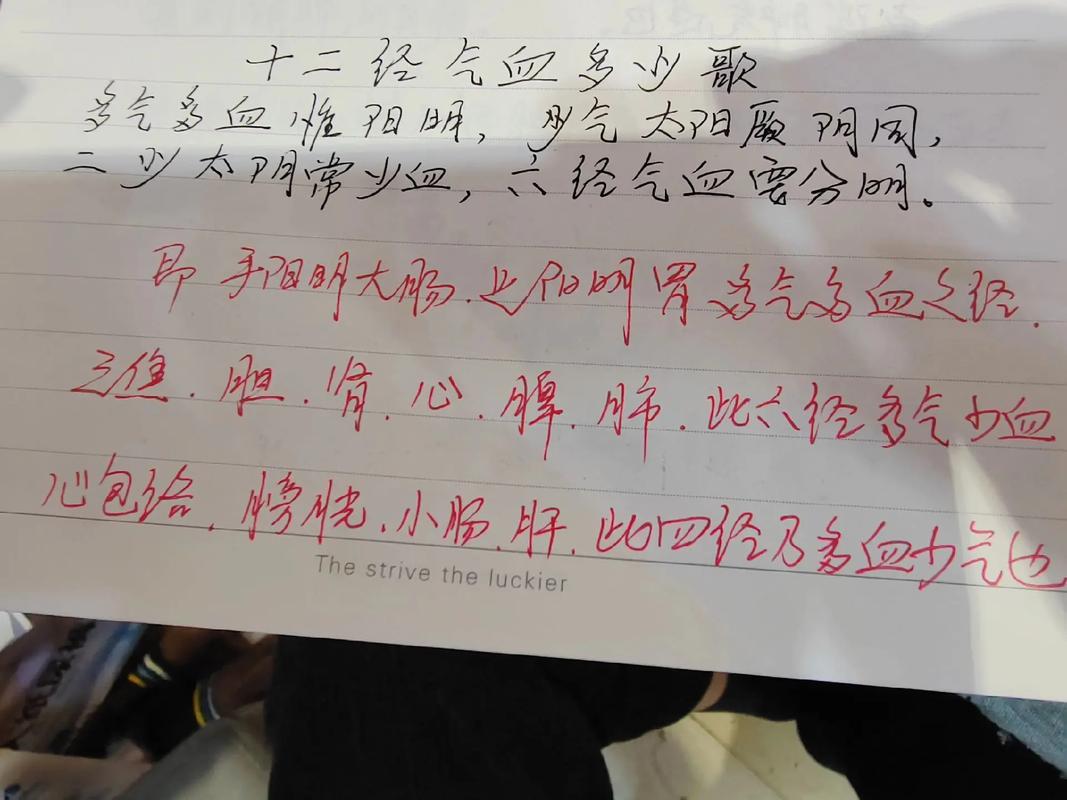 侯国文多功能套管针灸