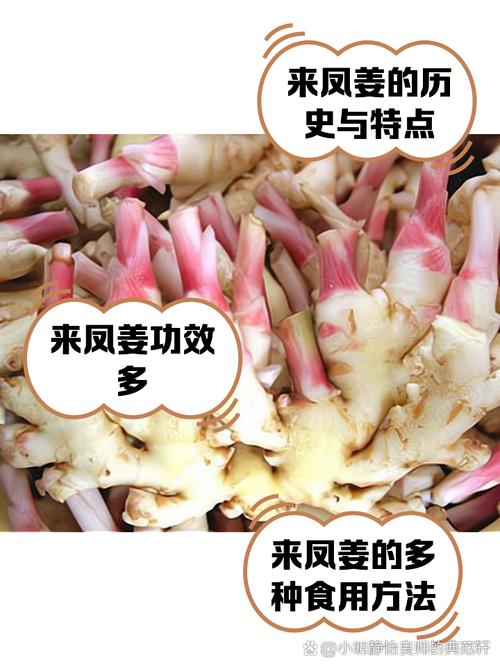 生姜痛风根治民间偏方