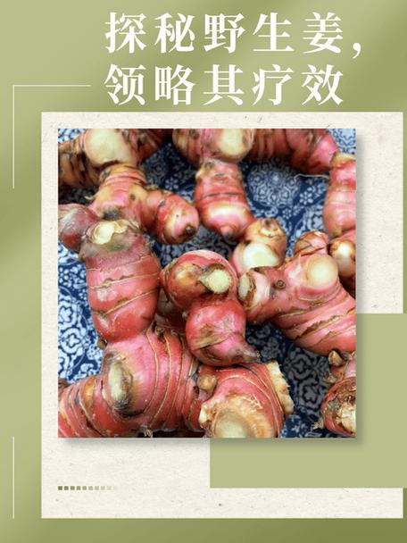 生姜痛风根治民间偏方