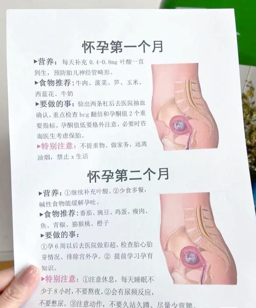 有没有人在安全期怀孕