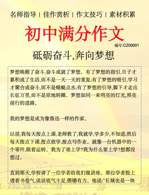 不负韶华逐梦职场体会