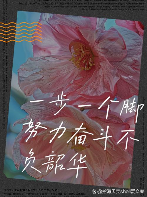 不负韶华逐梦职场体会