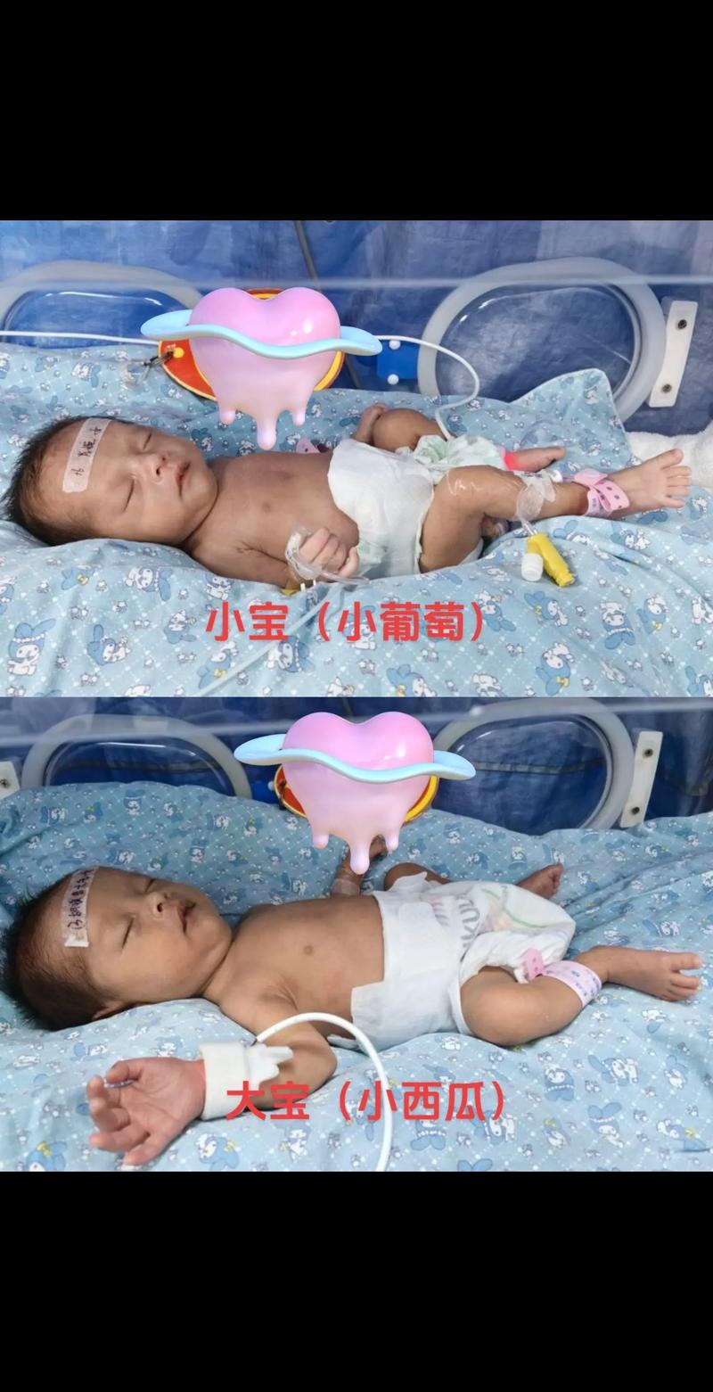 住保温箱宝宝没安全感