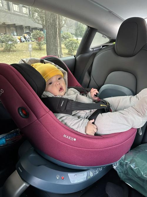 8月龄宝宝坐安全座椅