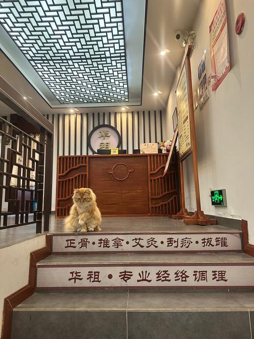 天津中医针灸培训学校