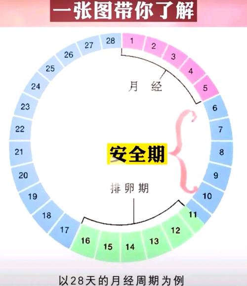 安全期怀的都是女孩吗