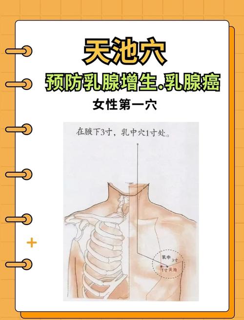 乳腺增生针灸哪些部位