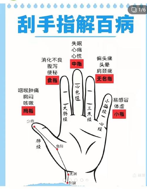 左常波针灸手诊全息图