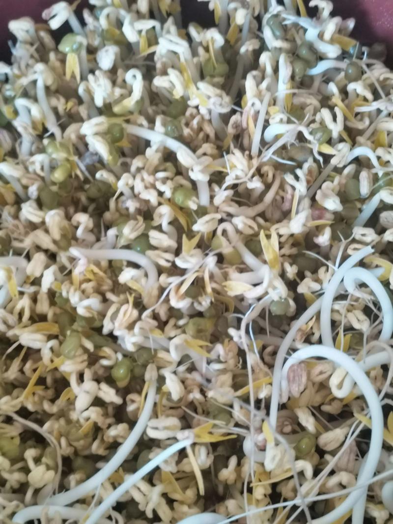 绿豆芽痛风病人能吃吗