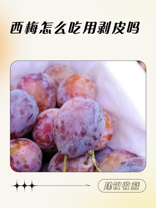 痛风的人可以吃西梅吗