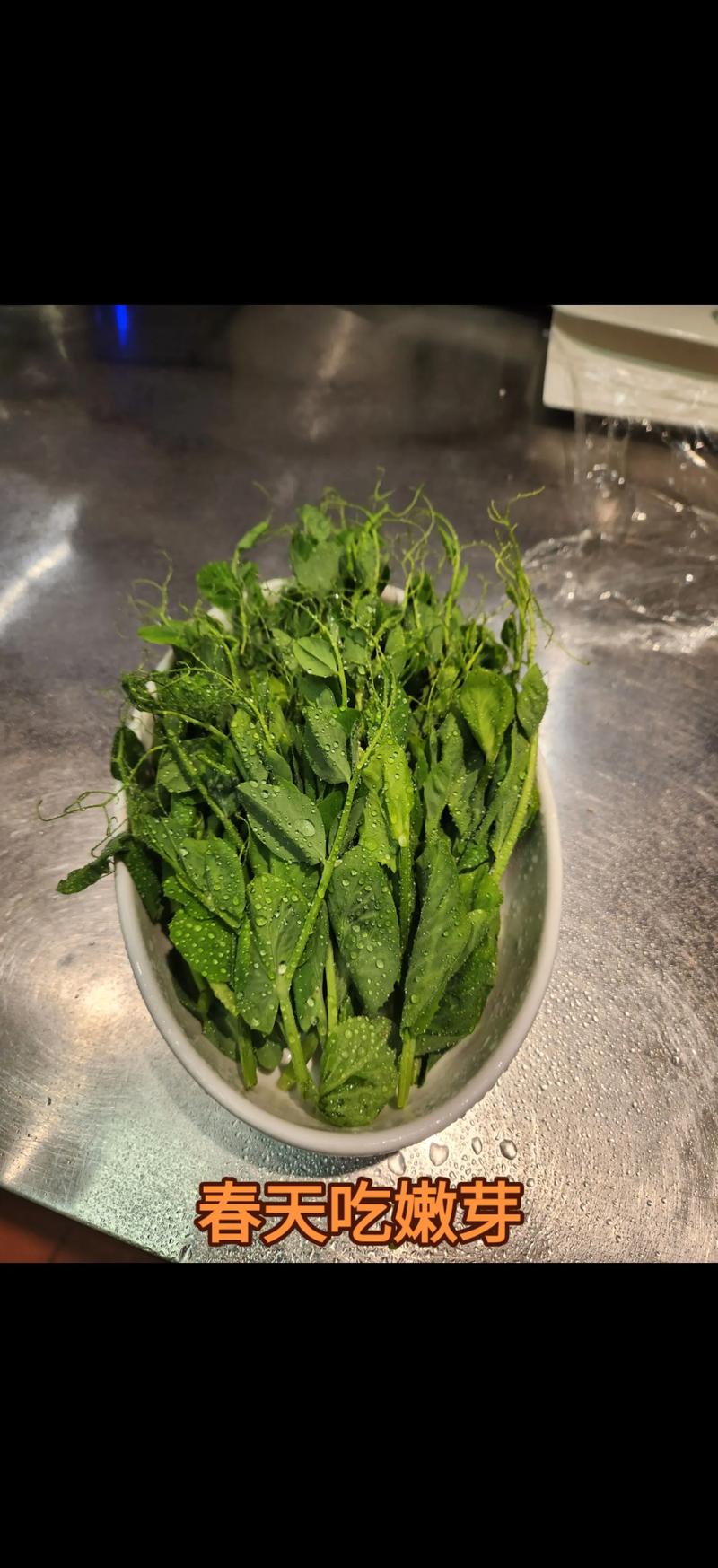 豌豆尖痛风病人能吃吗