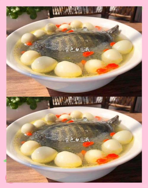 痛风的人能喝甲鱼汤吗