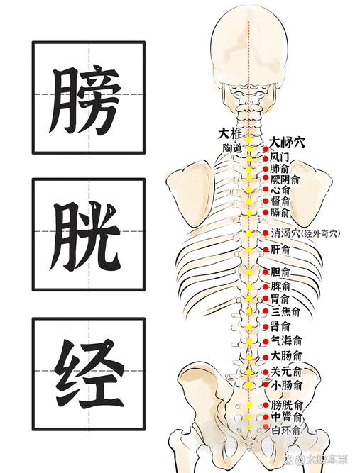 背痛针灸扎那几个学位