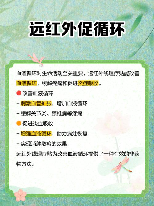 针灸贴丰胸几盒能见效