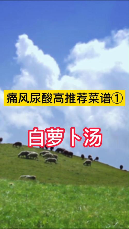 痛风发作可以吃白萝卜