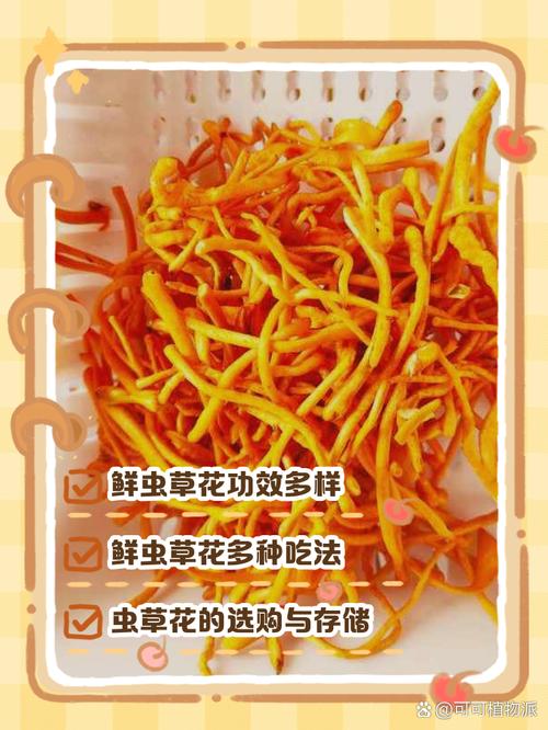 痛风的人能吃虫草花吗