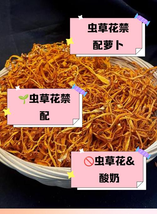 痛风的人能吃虫草花吗