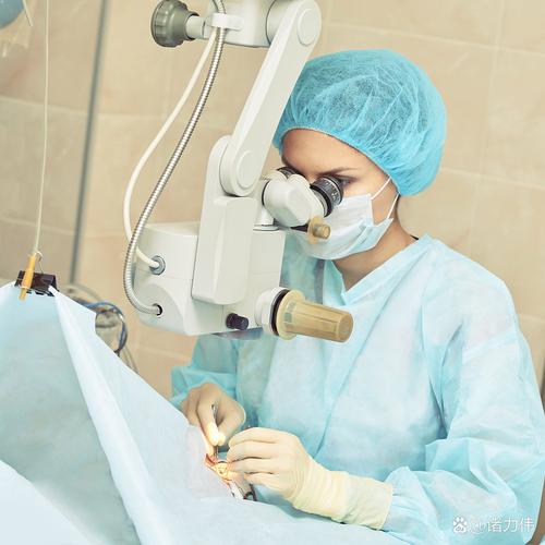 近视眼恢复手术安全吗