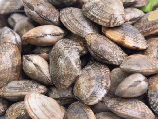 痛风的人可以吃花甲吗