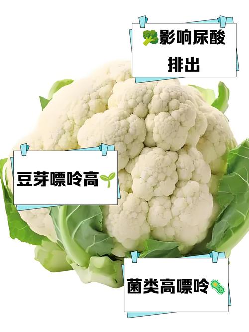 有痛风的人能吃花菜吗