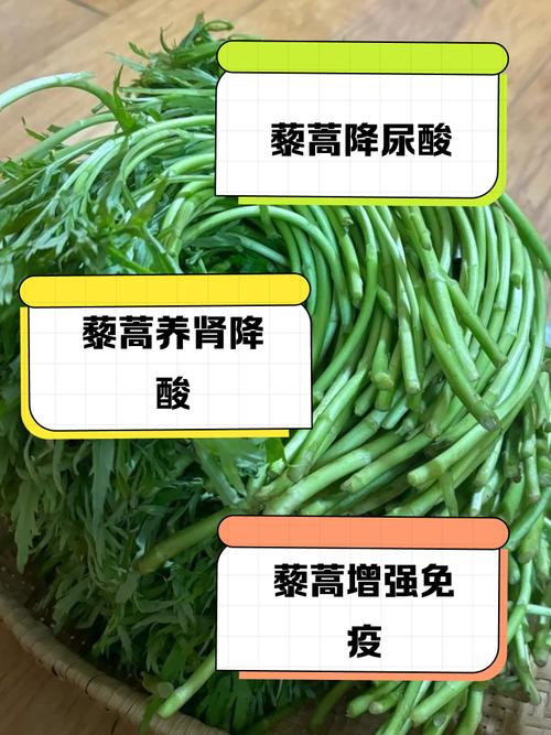 芦蒿痛风患者可以吃吗