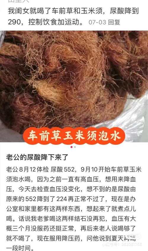 土茯苓和车前草治痛风