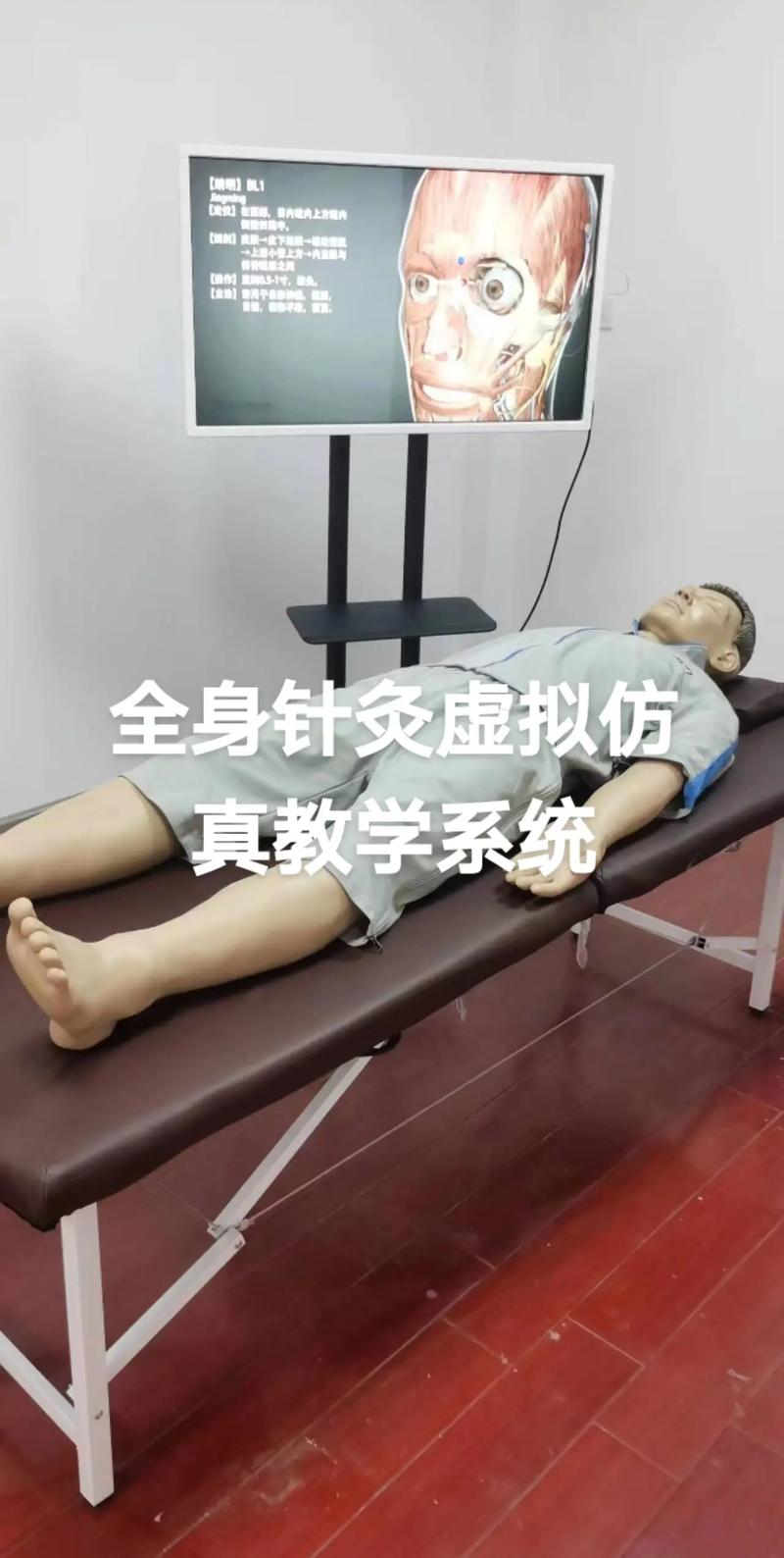 针灸学90集教学视频