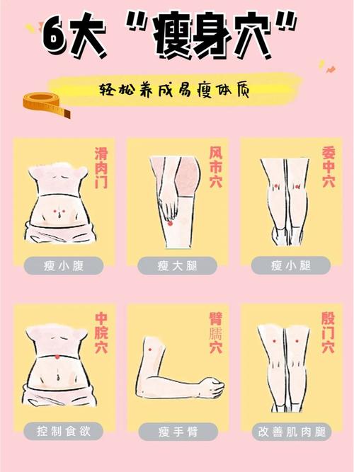 腹部减肥针灸哪些部位