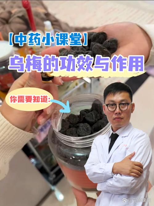 梅精的功效与作用痛风