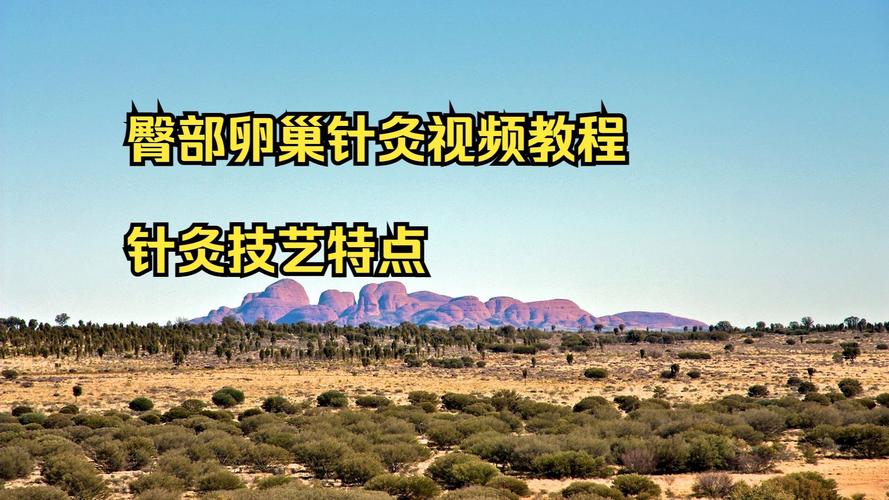 女性臀部针灸视频教程