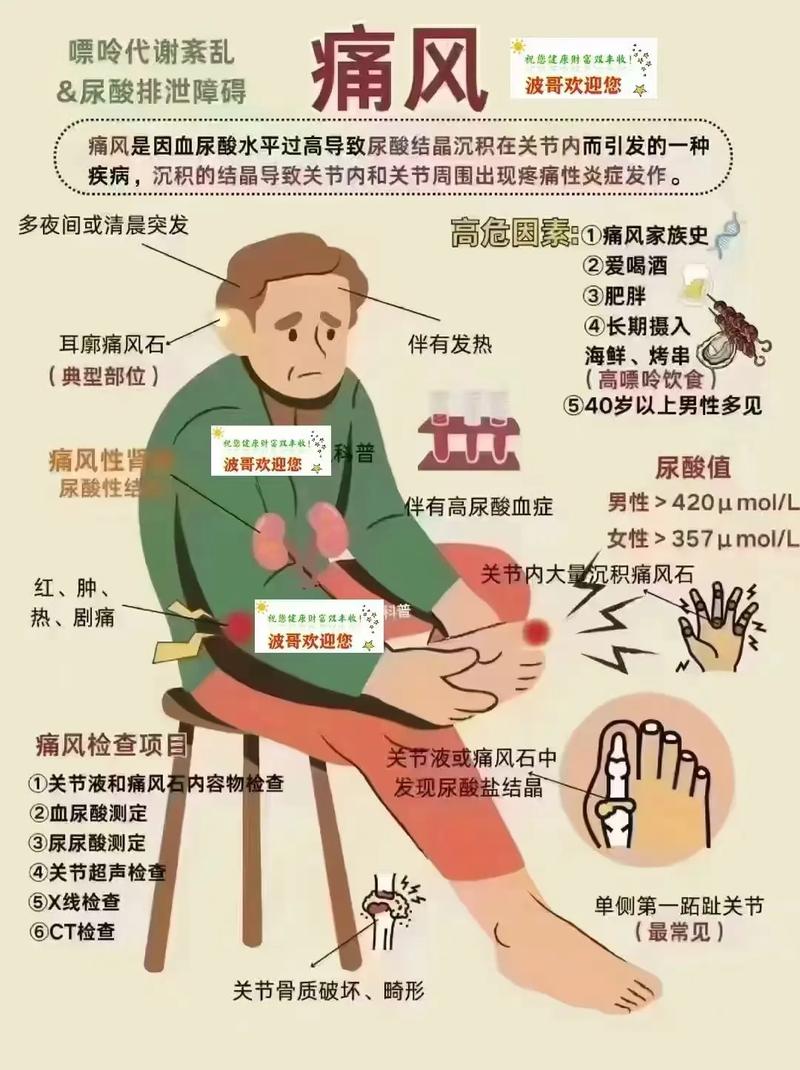原发性痛风的发病原因