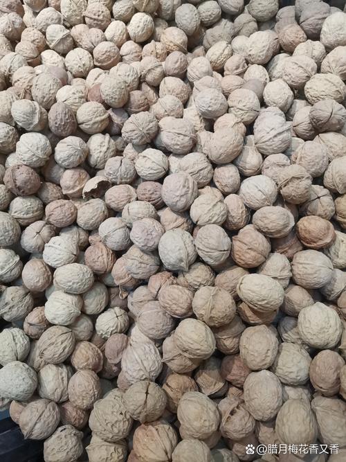 尿酸高痛风能吃核桃吗