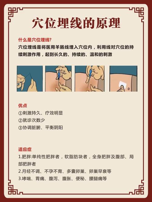 针灸减肥的原理是什么