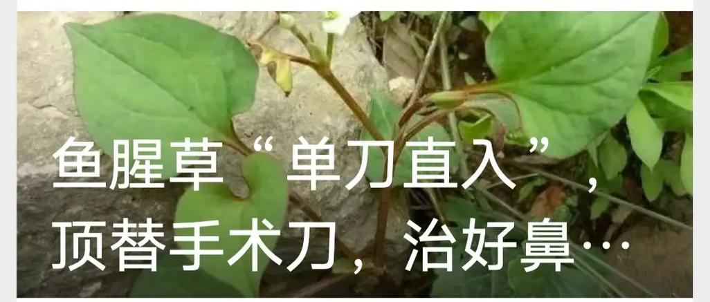 肩周炎的针灸治疗方法